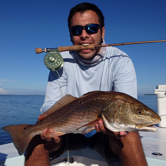 redfish on fly