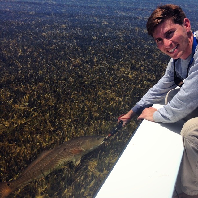 redfish on a grassflat