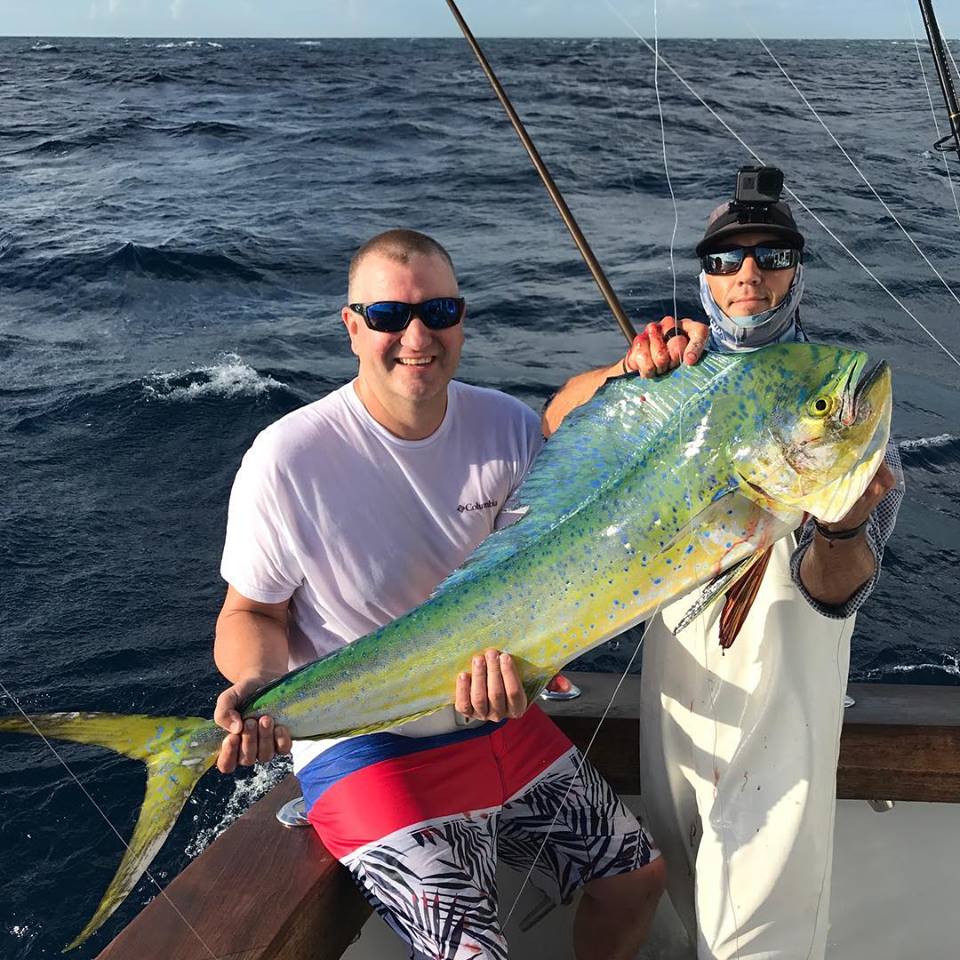 mahi mahi kite fishing