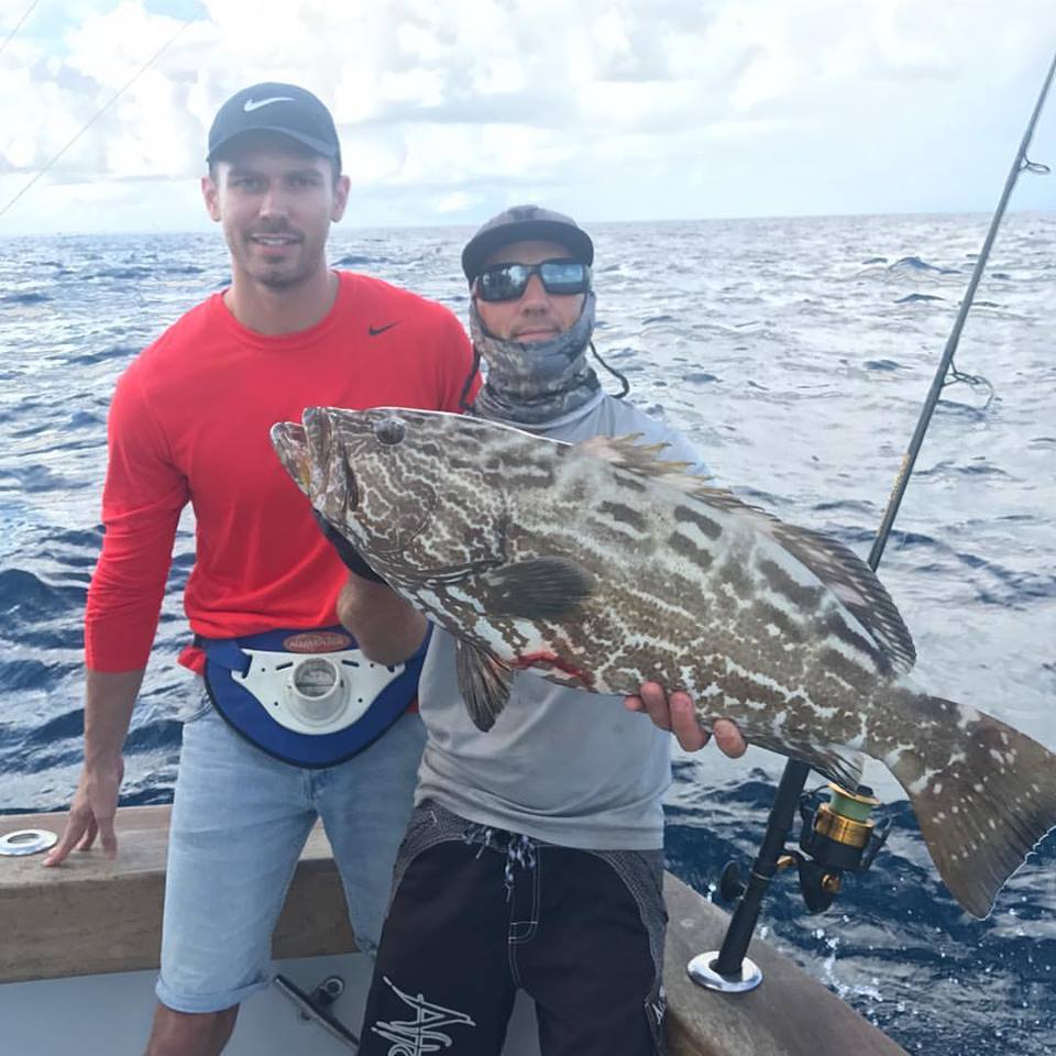 spring time black grouper