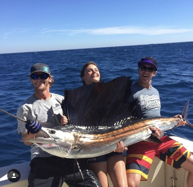 sailfish out of the water