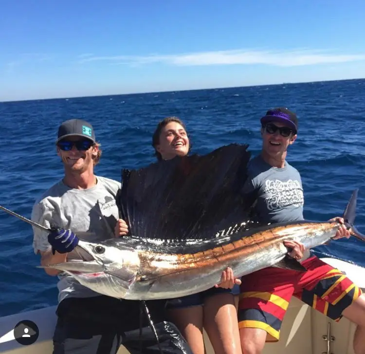 sailfish out of the water