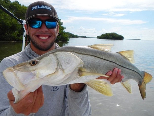 daytime snook