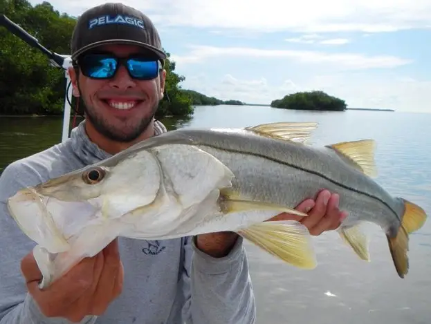 daytime snook