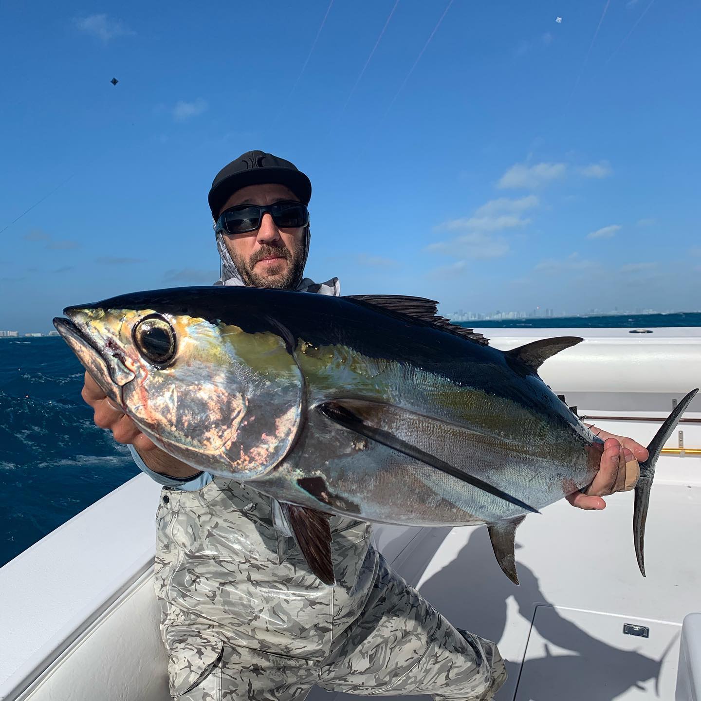 blackfin tuna kite fishing