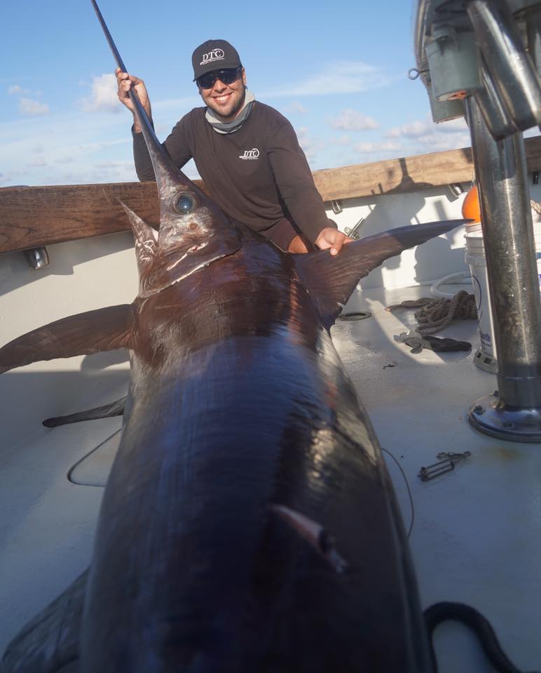 Huge Swordfish off Miami