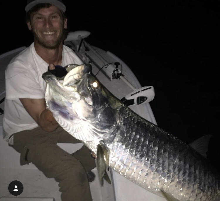 nighttime tarpon