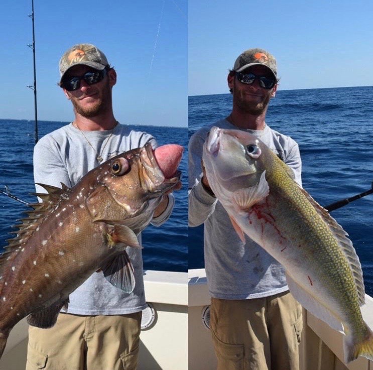 Tilefish and grouper