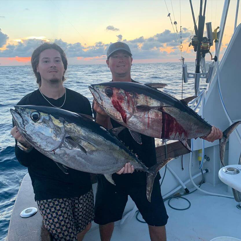 blackfin tuna miami