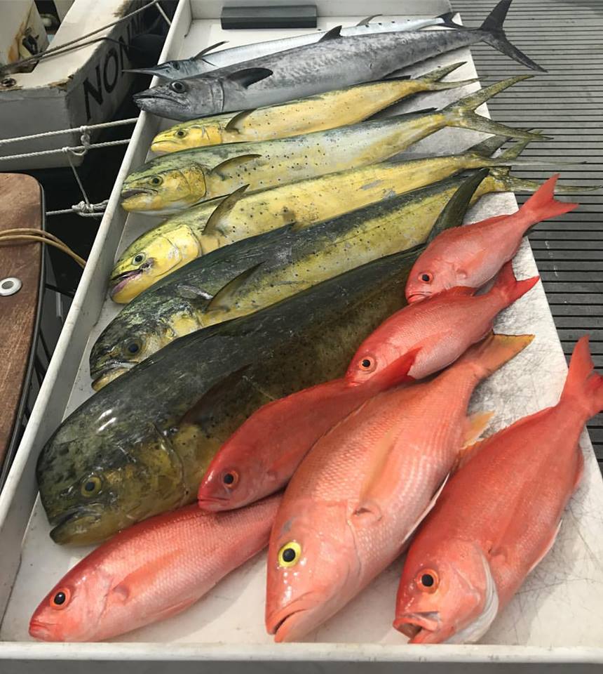 fillet table with fish