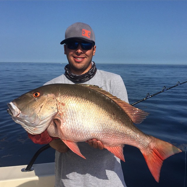 Mutton Snapper Miami