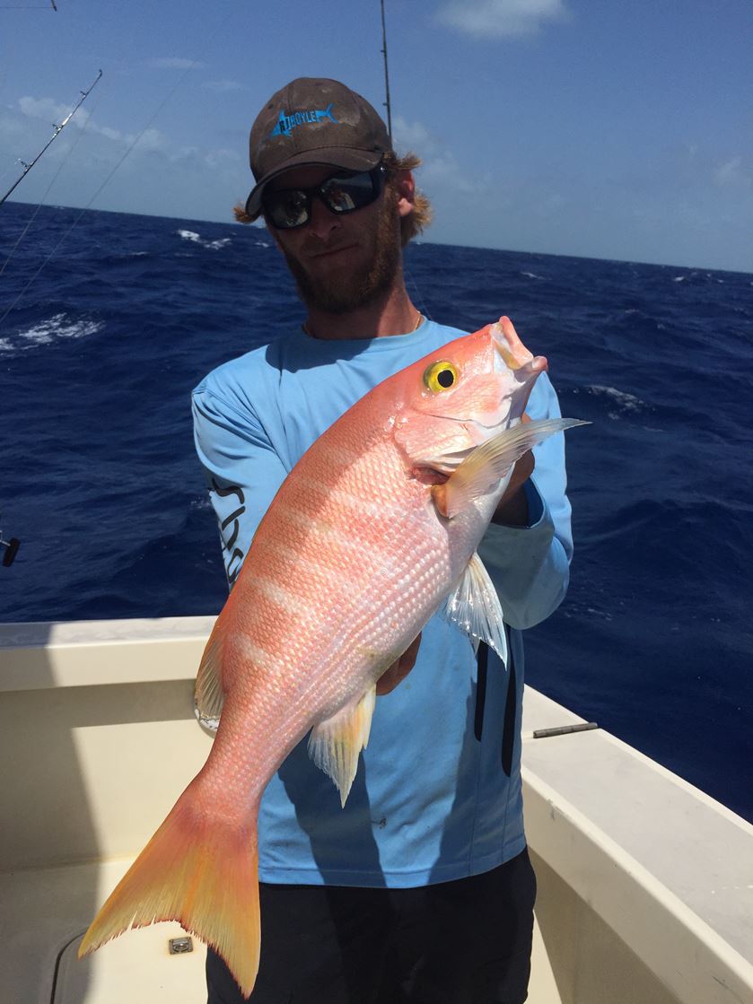 Yellow-eye snapper fishing miami