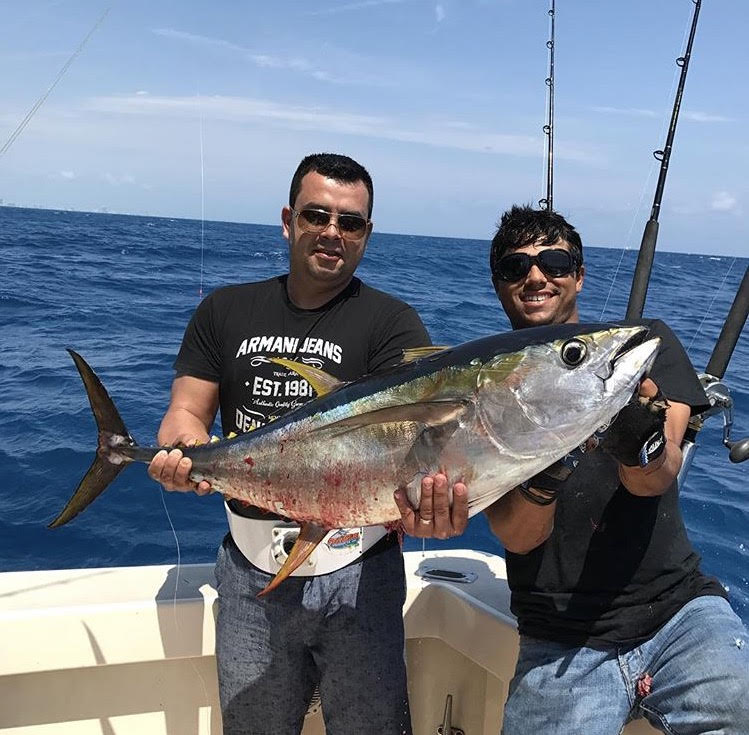 Yellowfin Tuna Fishing Miami