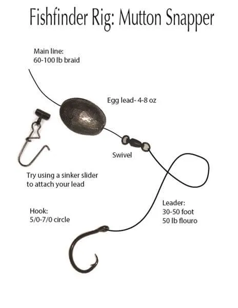 Fishfinder Rig for Mutton Snapper
