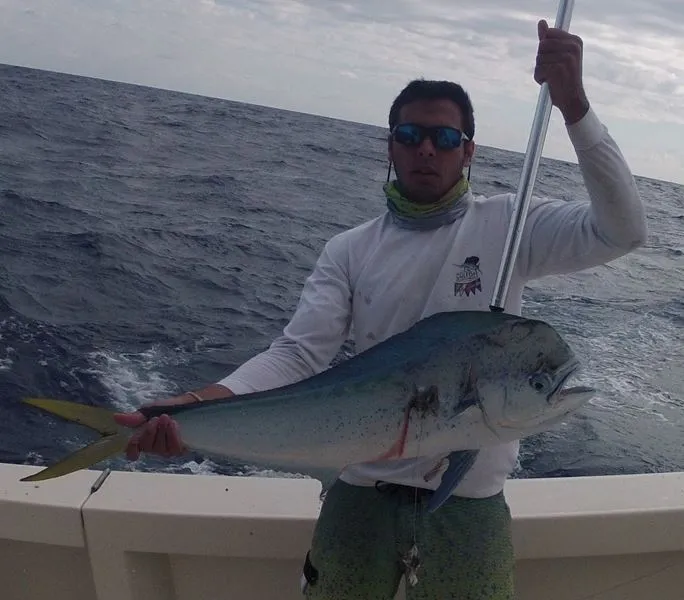 Releasing Sailfish in Miami