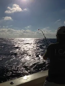 Miami Offshore Fishing in March