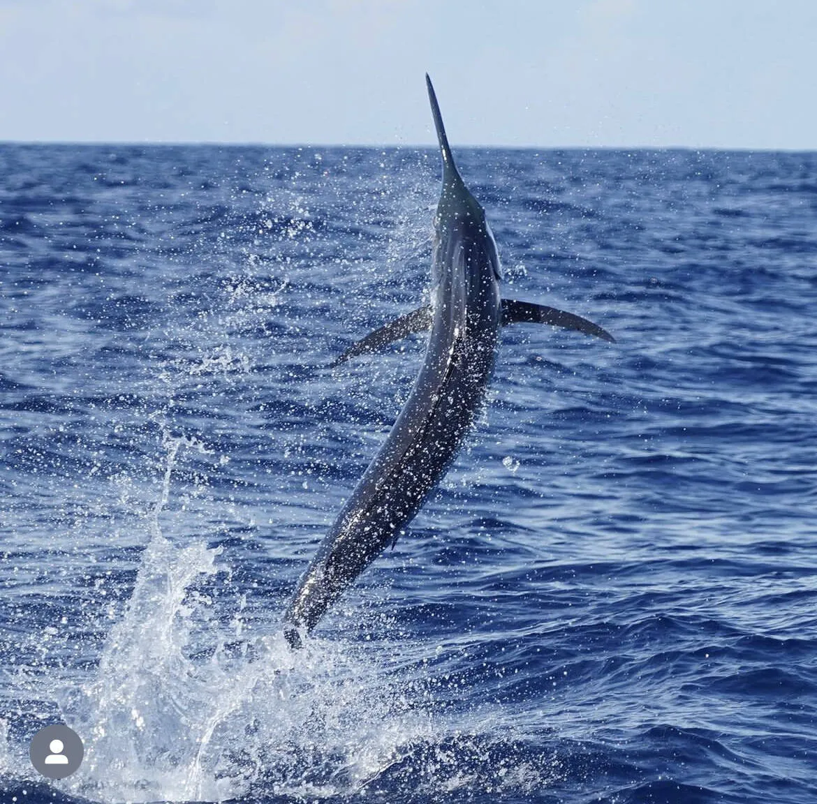 August Fishing off Miami