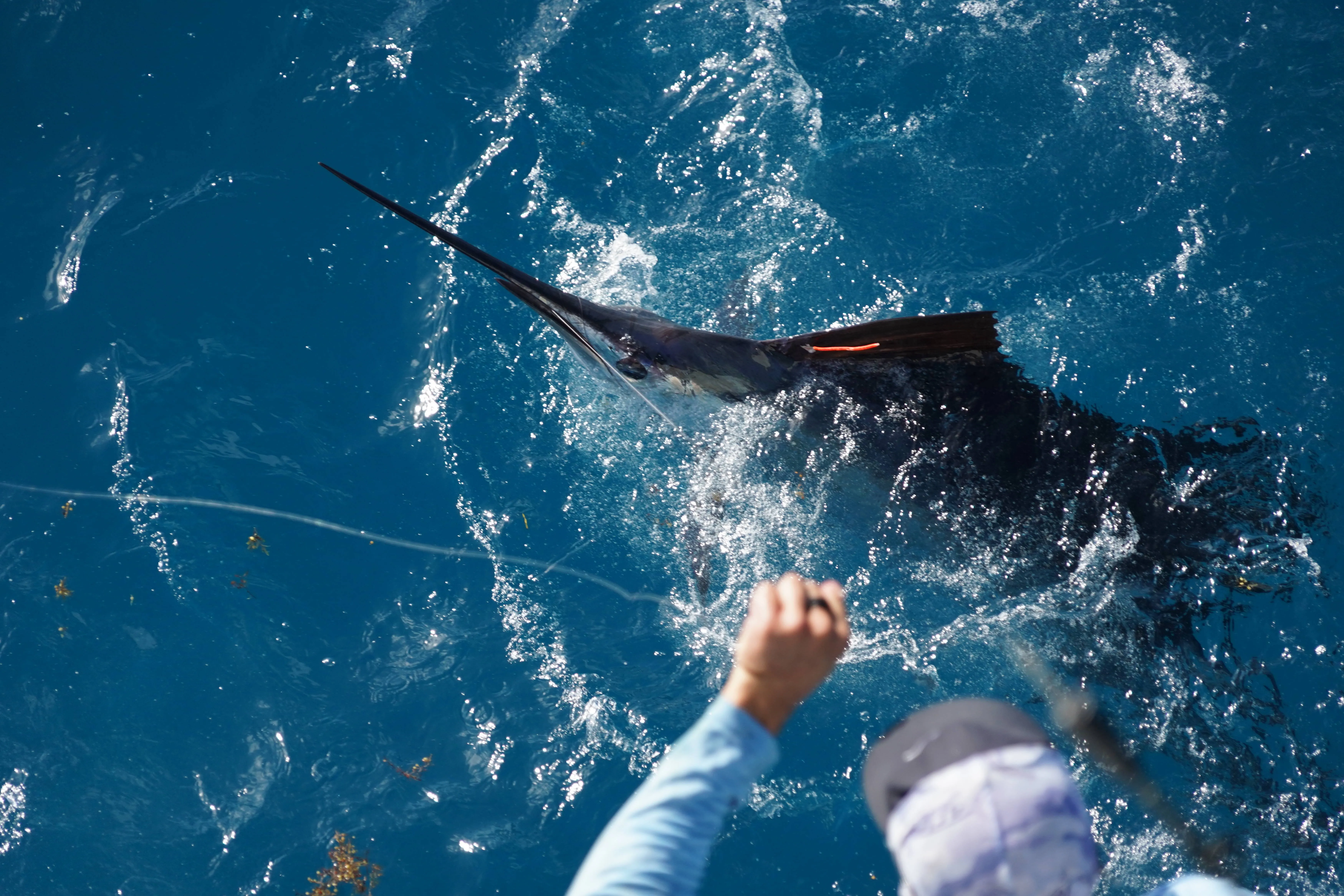 Cool Season Fishing In Miami