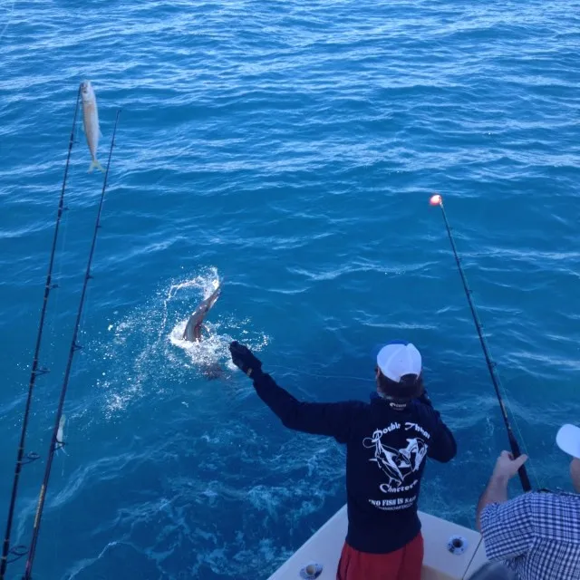 Winter Fishing in Miami, 'Tis the Season