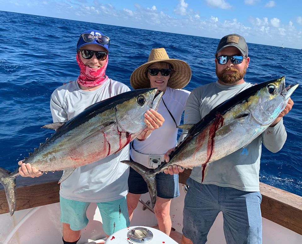 Cobia, Blackfin Tuna, Amberjack, Sailfish & More - Double Threat