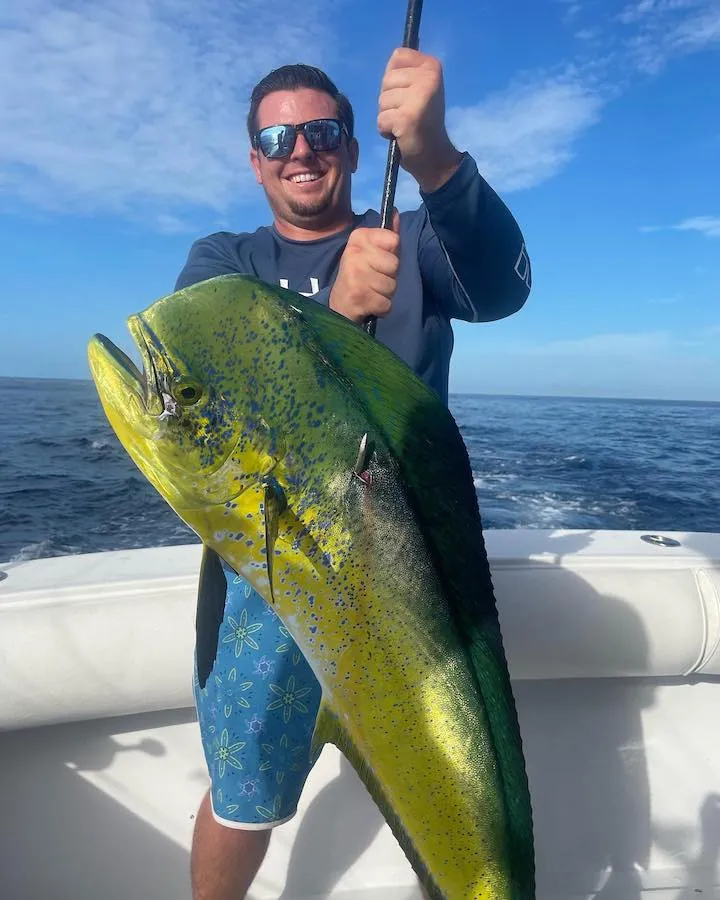Summer Dolphin Fishing off Miami