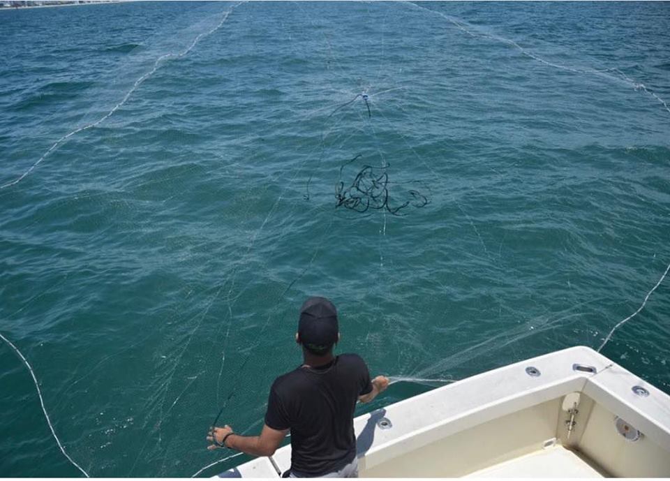 Live Chumming for Sailfish and Tuna - Double Threat Charters