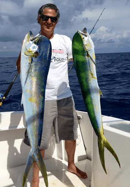 Dolphin Fishing in Miami