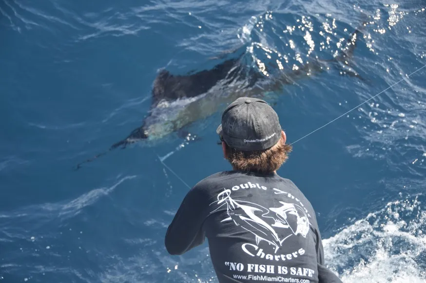 Kite Fishing With Double Threat Charters