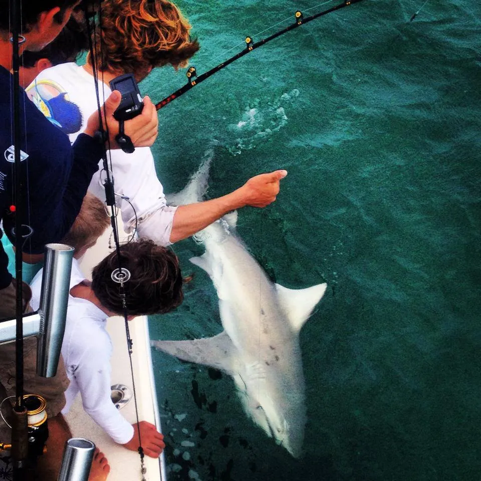 Miami Shark Fishing