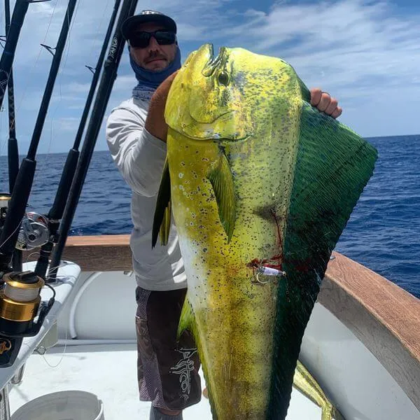 Fish Species During Summer in Miami