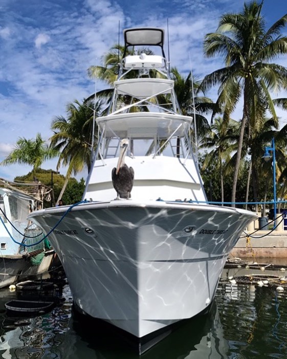 Charter Sport Fishing Boats with Tuna Towers Stock Photo - Image