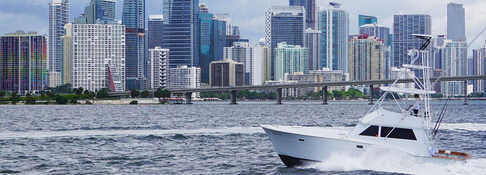 Yellow-eye Snapper Fishing Miami - Deep Drop Charters