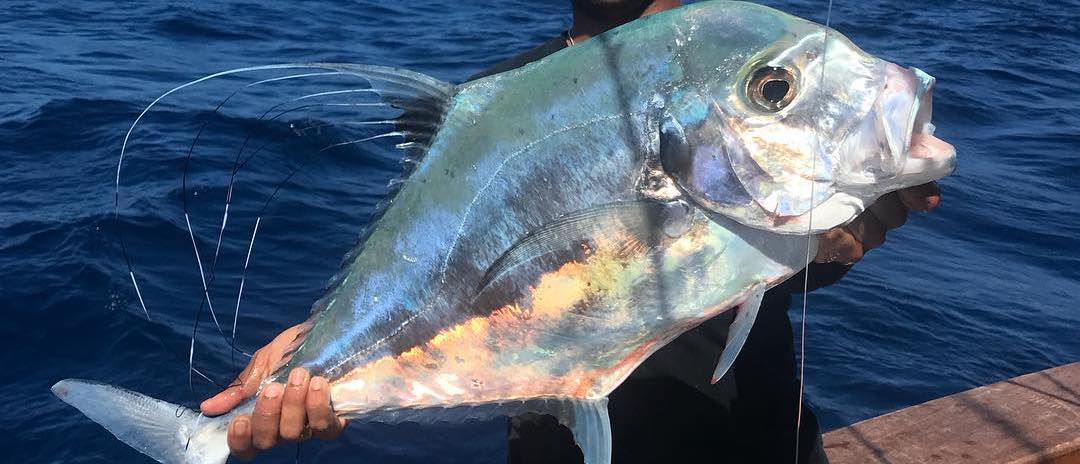 African Pompano Fishing- Tips and Techniques